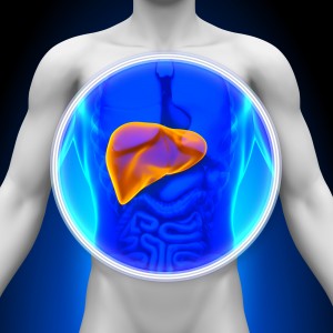 bigstock-Medical-X-Ray-Scan--Liver-47708584